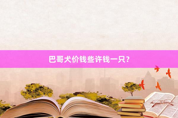巴哥犬价钱些许钱一只？