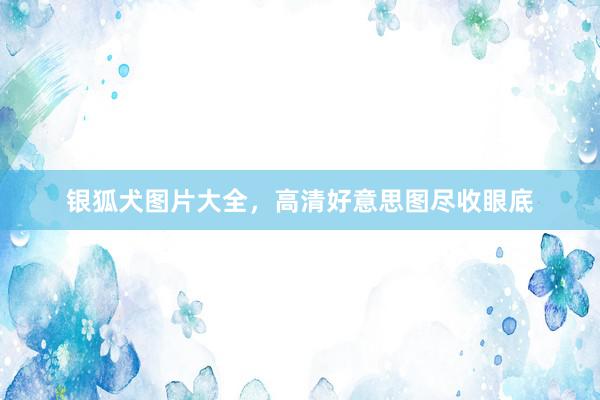 银狐犬图片大全，高清好意思图尽收眼底